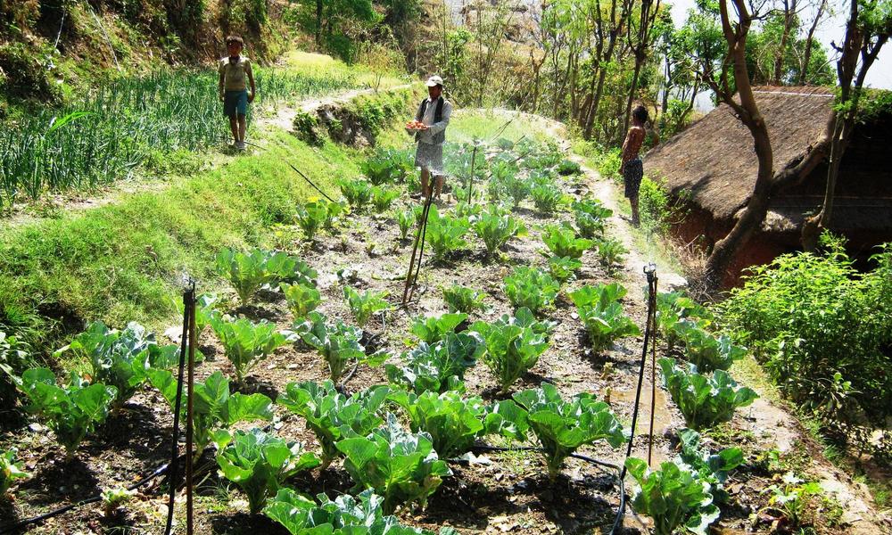 Managing Water Scarcity