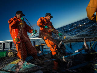fishermen on a boat