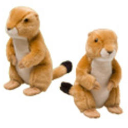 prairie dog plush
