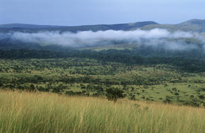 View of Mpassa project area in Gabon