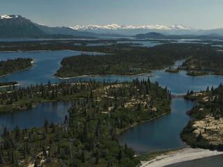 lake iliamna