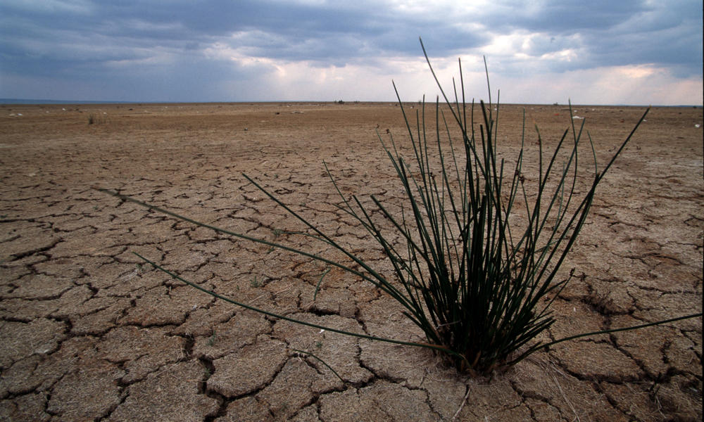 Adapting to Climate Change