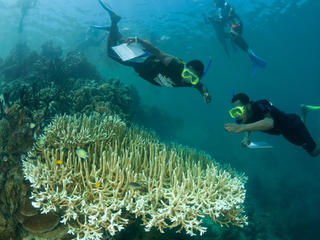 Travel with WWF