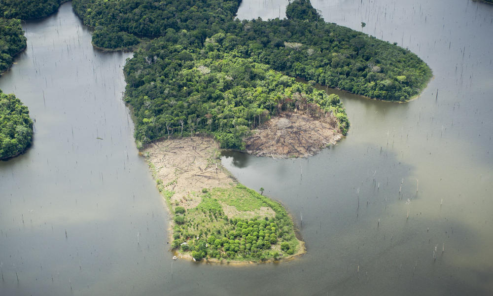 An aerial view of deforestation in the Amazon.