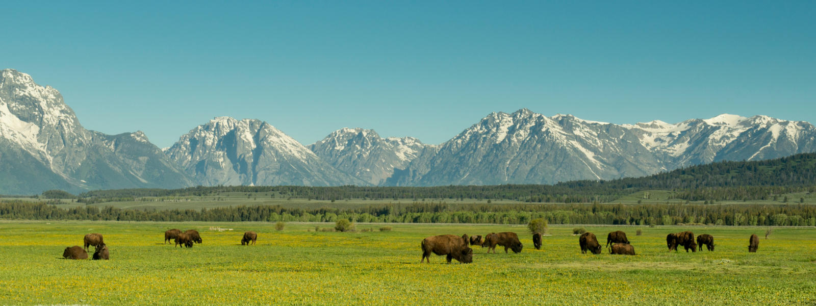 seeing-the-source-bfa-members-explore-the-northern-great-plains-blog