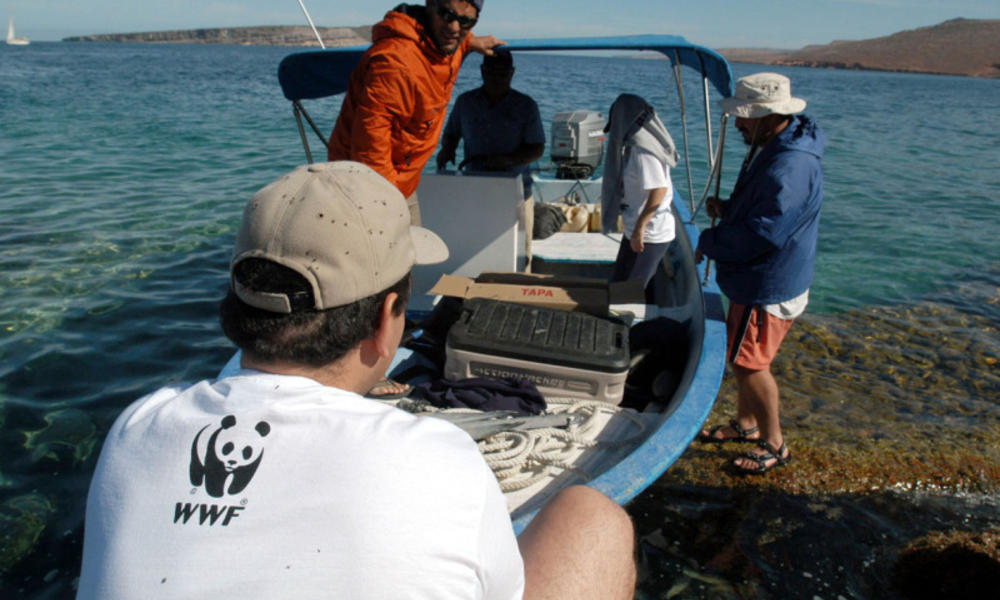 Boat with WWF staff