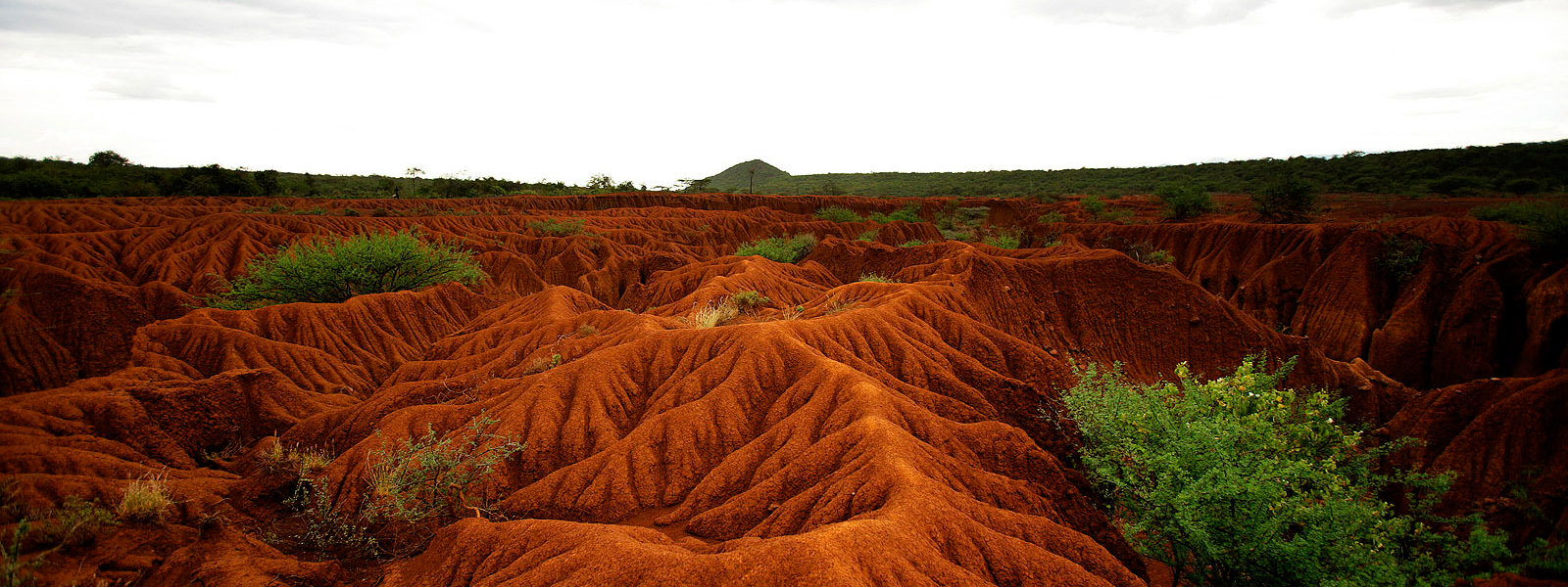 soil-erosion-and-degradation-threats-wwf