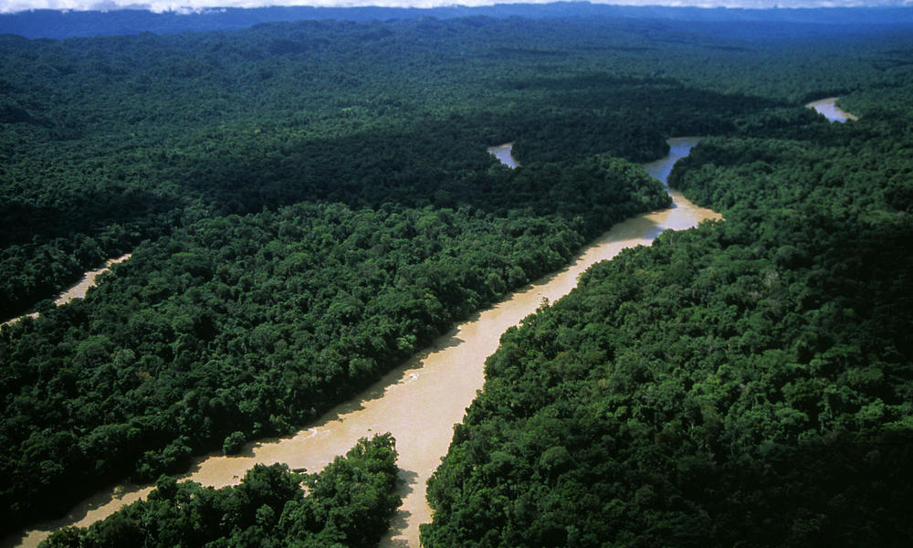 Tropical Rainforests