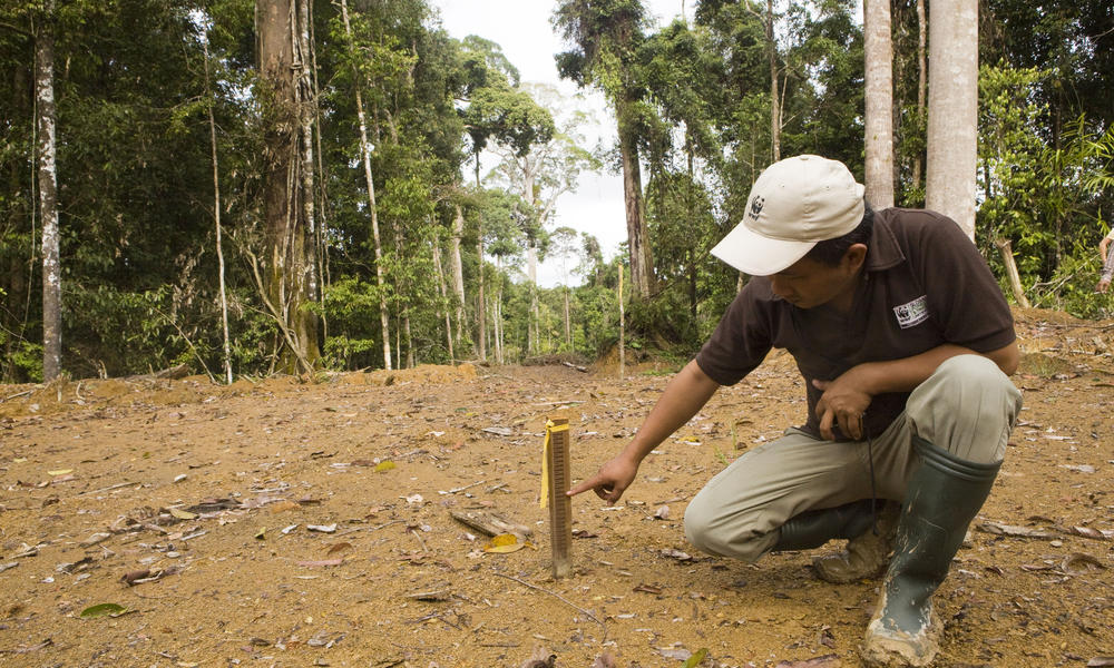Human activities and soil erosion