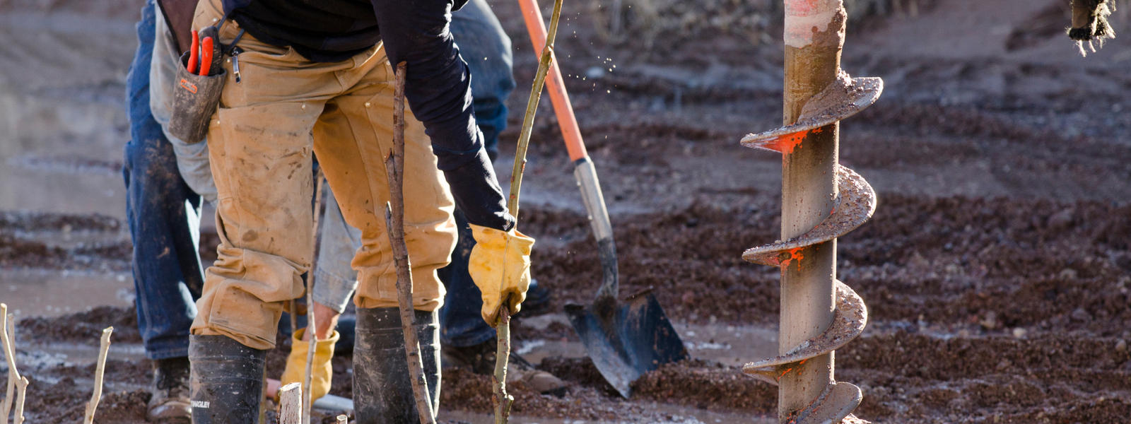 Climate-smart Conservation Along The Rio Grande 