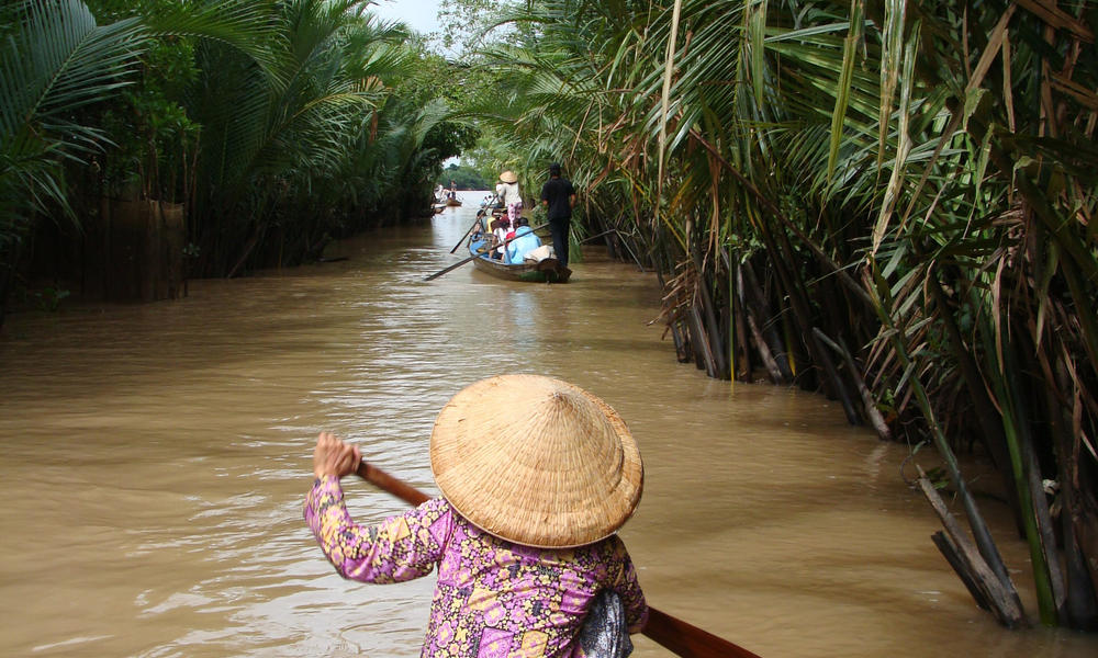 Greater Mekong Dry Forest Ecosystems