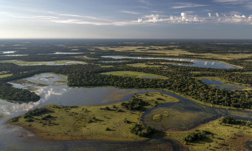 An Important Win For The World's Largest Tropical Wetland | Stories | WWF