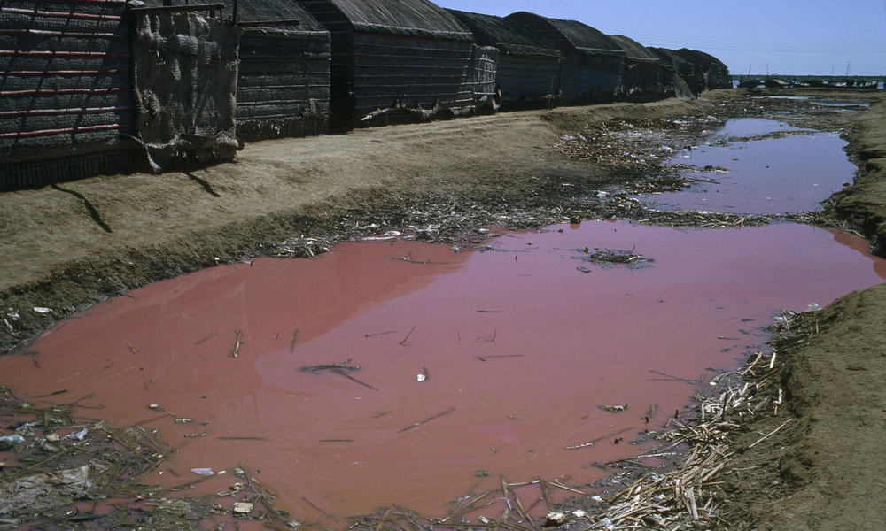 Pollution