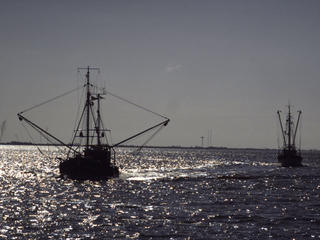 Pirate_fishing_8.9.2012_hero_and_circle_hi_16874