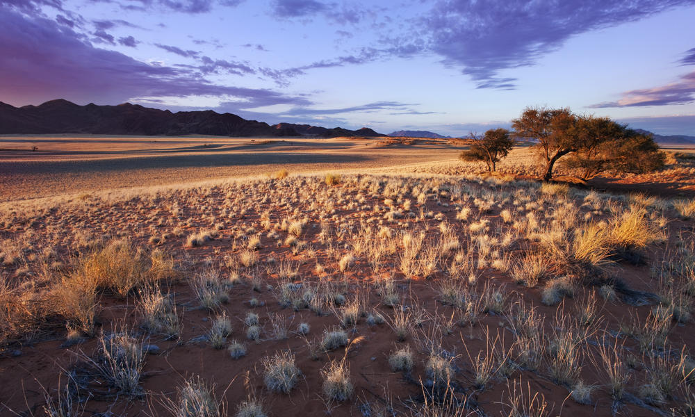 NamibRand Nature Reserve