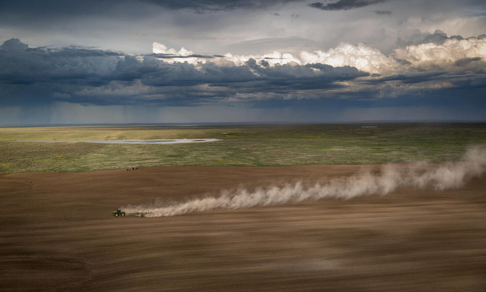 The next Dust Bowl? Great Plains grassland loss slows
