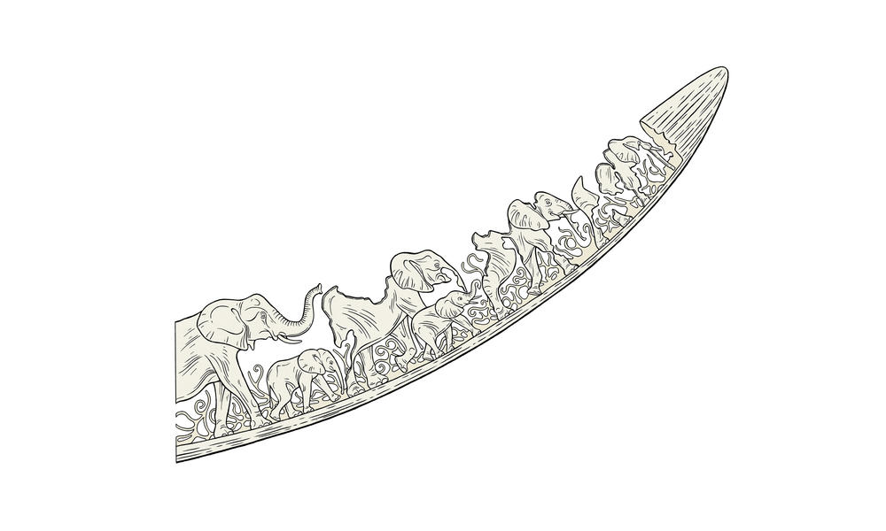 Why Do People Ivory Articles Wwf - Elephant Tusk Pendant Meaning Why Do People Ivory Articles Wwf - Elephant Tusk Pendant Meaning