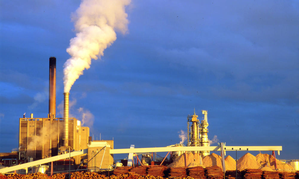Pulp and Paper Climate Change