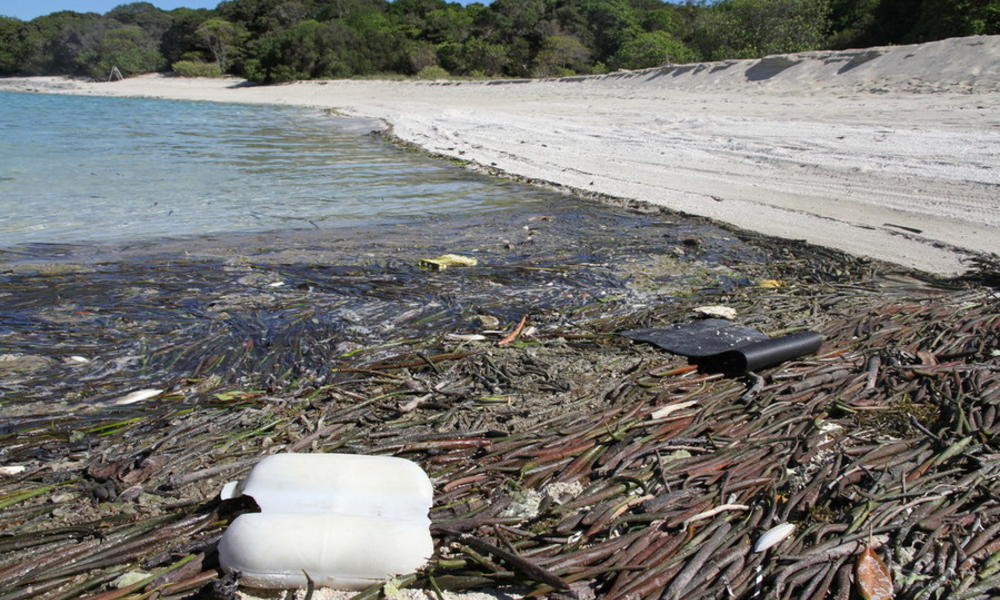 an-uninhabited-australian-island-littered-with-plastic-stories-wwf