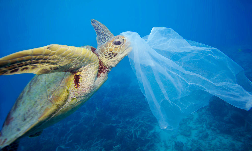 plastic bags in the ocean