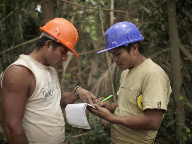 Writing down data of a Shihuahuaco tree