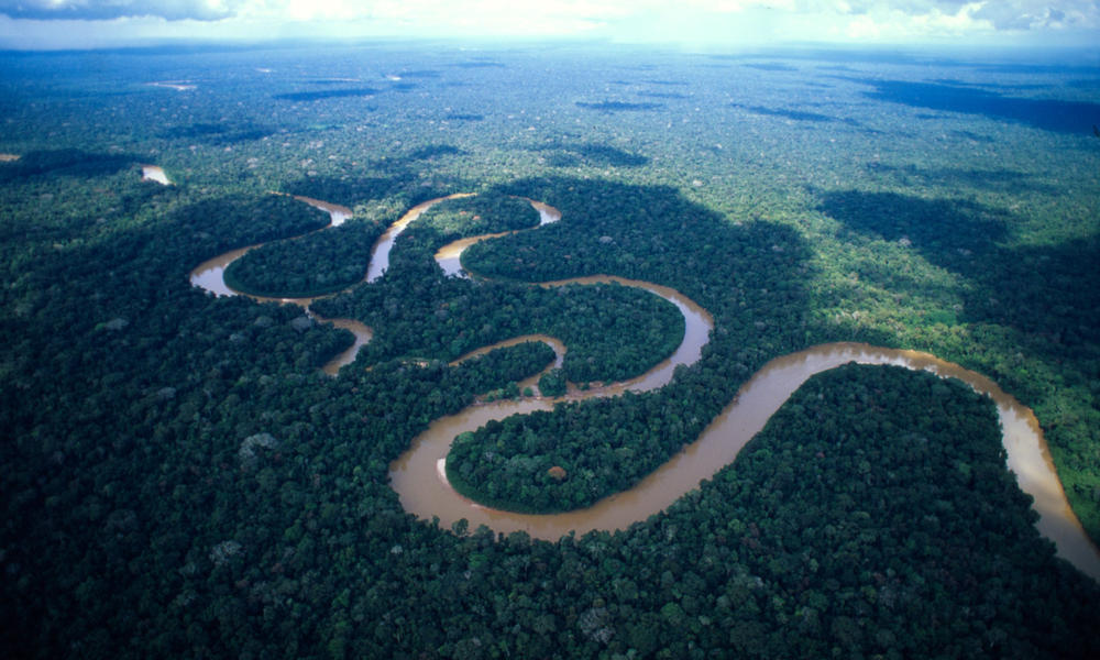 http://assets.worldwildlife.org/photos/1818/images/story_full_width/meandering_amazon_(c)_WWF-Canon__Andre_Bartschi.jpg?1345553423