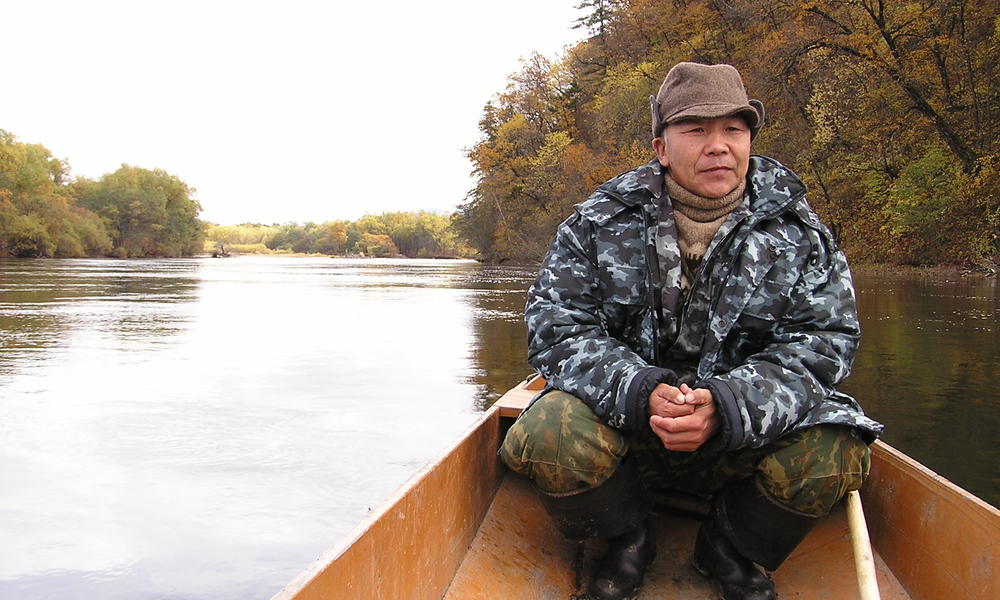 Amur Tiger
