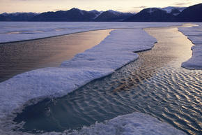 Arctic landscape