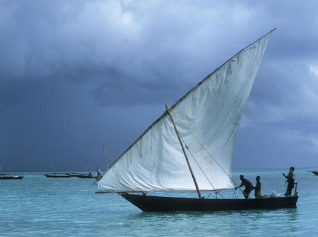 Dhow sailing boat