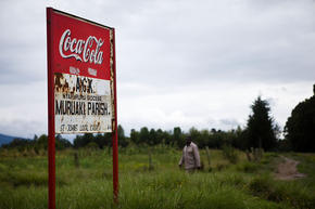 Coca-Cola sign, Upper Catchment, Lake Naivasha, Kenya