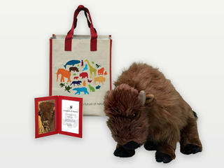 Adopt a Bison