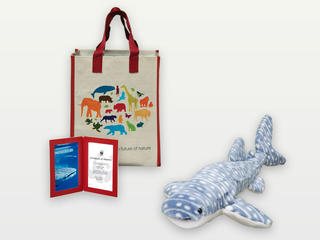 Adopt a Whale Shark