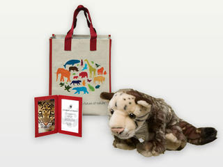 Adopt a Clouded Leopard