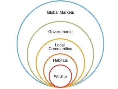 WWF's conservation approach