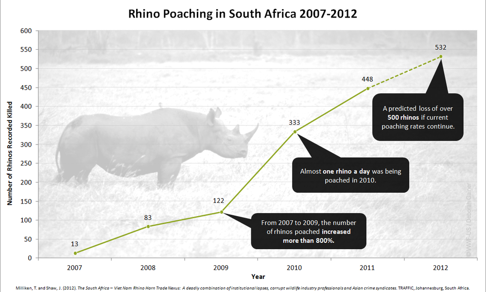 The methods to protect the black rhino populations from poaching