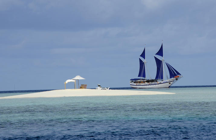 Maldives_Siren_new