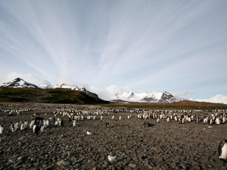 Antarctica_photos_128