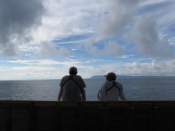 Picture_703