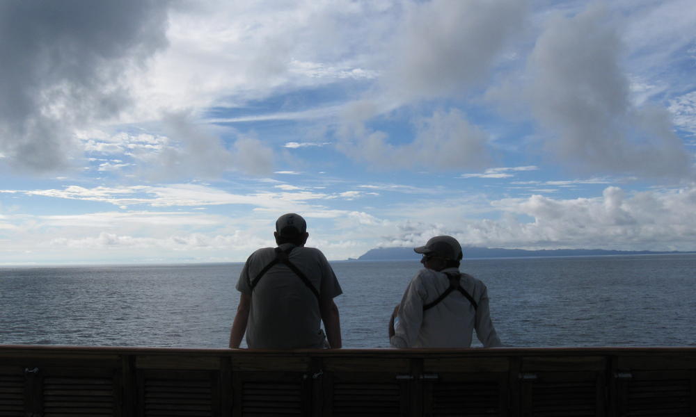Picture_703