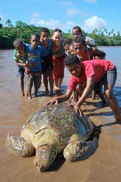 Josua Muakula and a marine turtle
