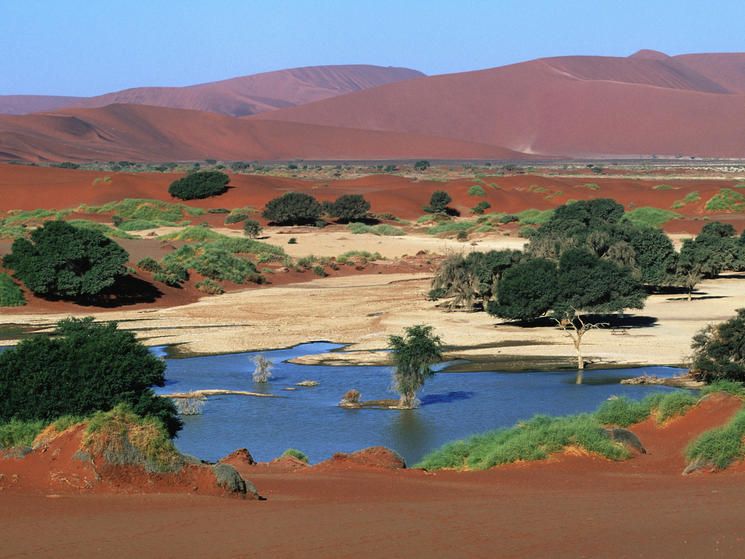 Sand_dunes_martin_harvey