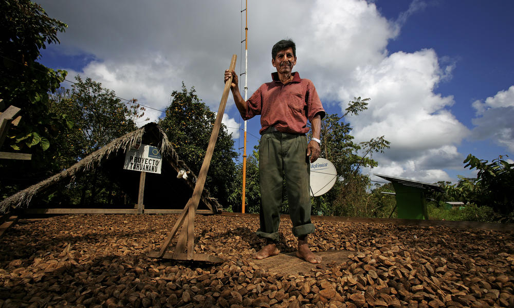 A sustainable Brazil nut farmer standing amongst his drying brazil nuts.