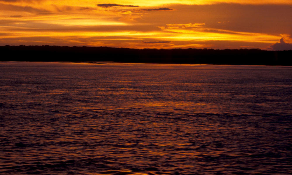Sunset, Amazon. Peru.