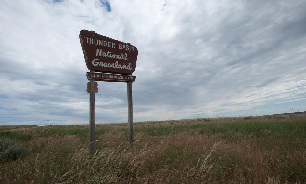 Grassland Threats