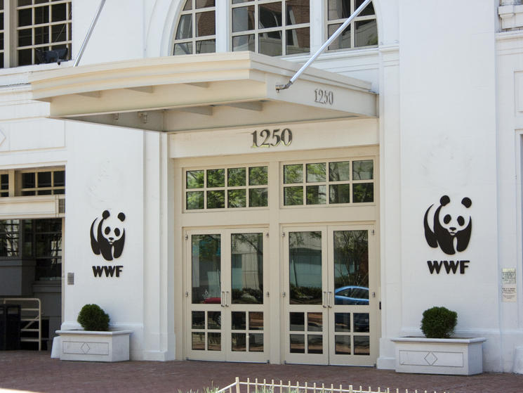 Wwf_building_blog_1