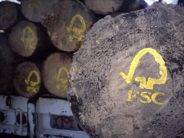 Timber_8.10_2012_what_wwf_is_doing_hi_49689
