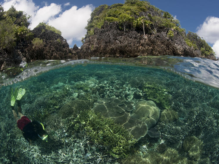 289682_jurgenfreund_wwf-canon_coralreef_limestoneisland