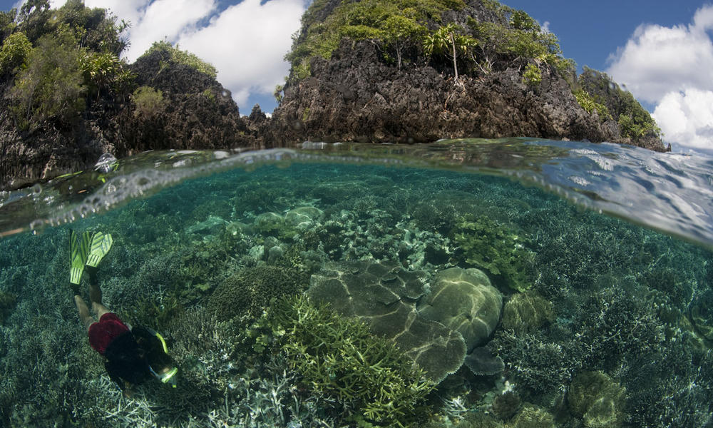 Raja Ampat
