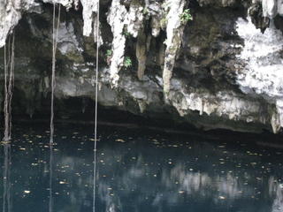Coastal Karst Mesoamerican Reef
