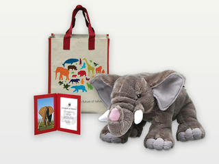 Adopt an African Elephant